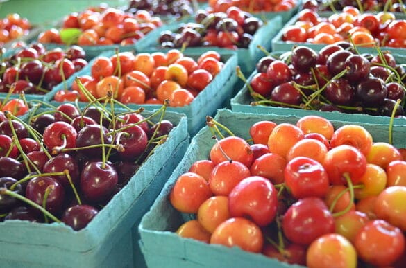 Robert Kurzban Farmers Market